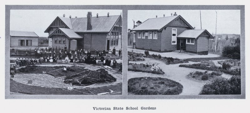 Victorian State School Gardens (s/h-billede) af Photographer Australian