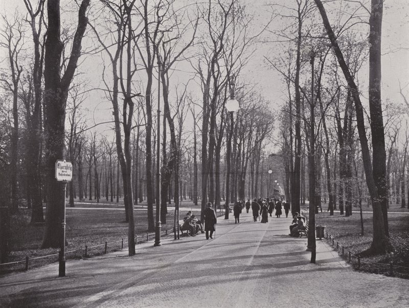 I Tiergarten, Ahornsteig (s/h foto) af Photographer German