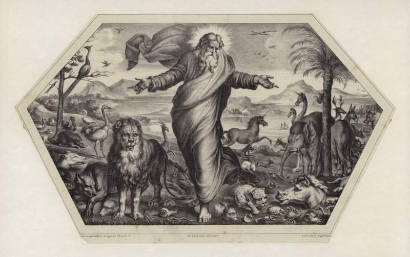 Dyrenes skabelse af Raffaello Sanzio Raphael