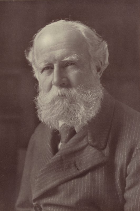 Lord Avebury (s/h-billede) af Reginald Haines