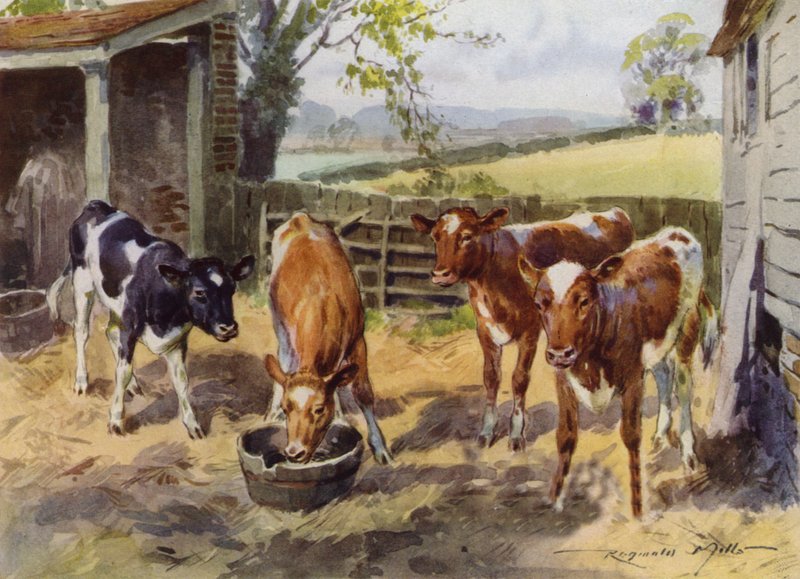 Illustration til My Farm (farve litho) af Reginald Mills