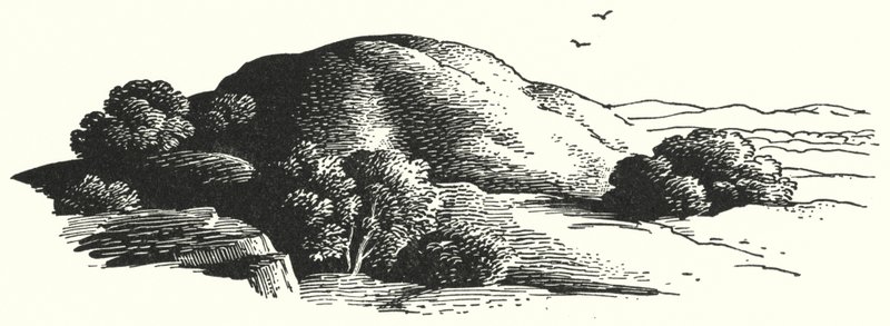 HC Andersen: Elfin-bjerget (litho) af Rex (after) Whistler