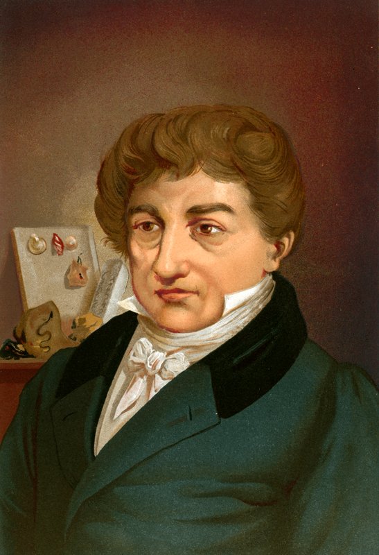 Georges cuvier af Ricardo Marti