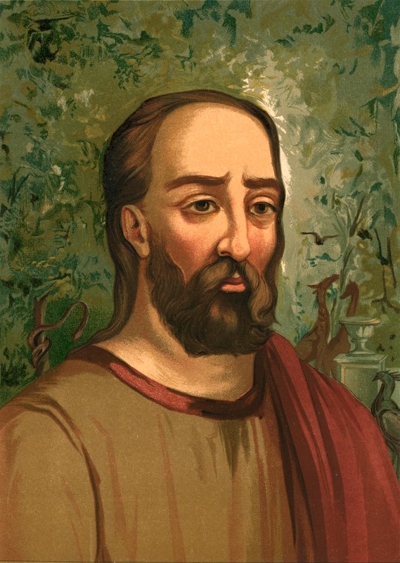 Plinius den Ældre af Ricardo Marti