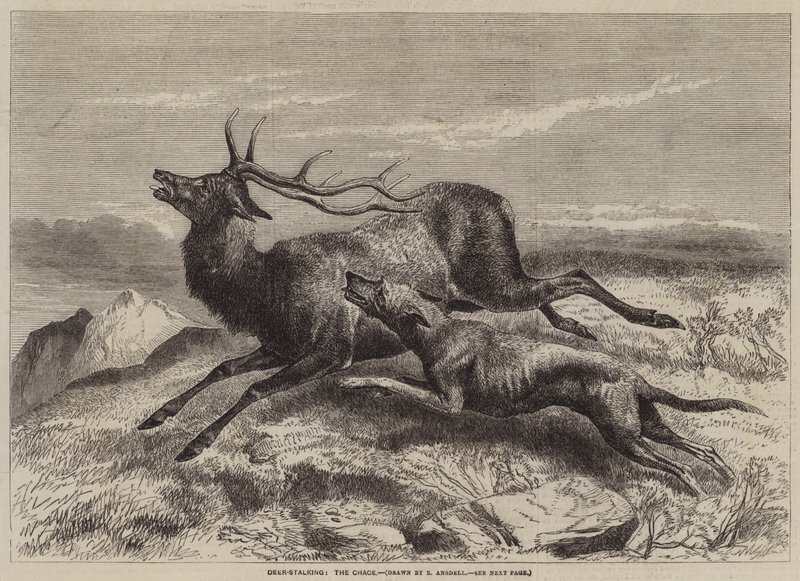 Deer-Stalking, Chace af Richard Ansdell