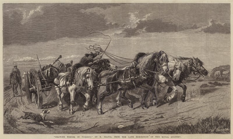 Tegning af tømmer i Picardie af Richard Beavis