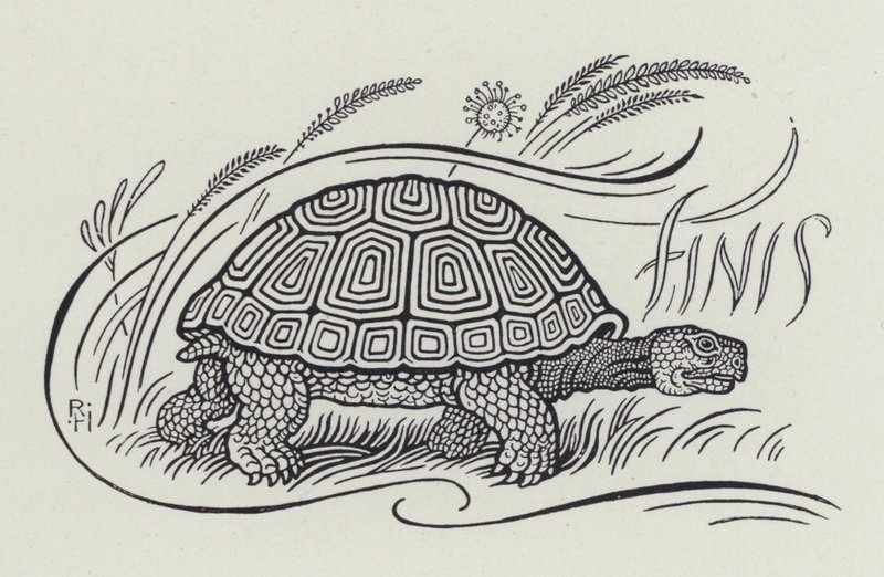 Hare And The Tortoise (gravering) af Richard Heighway