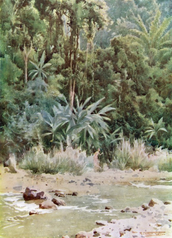 En junglestrøm af Robert George Talbot Kelly