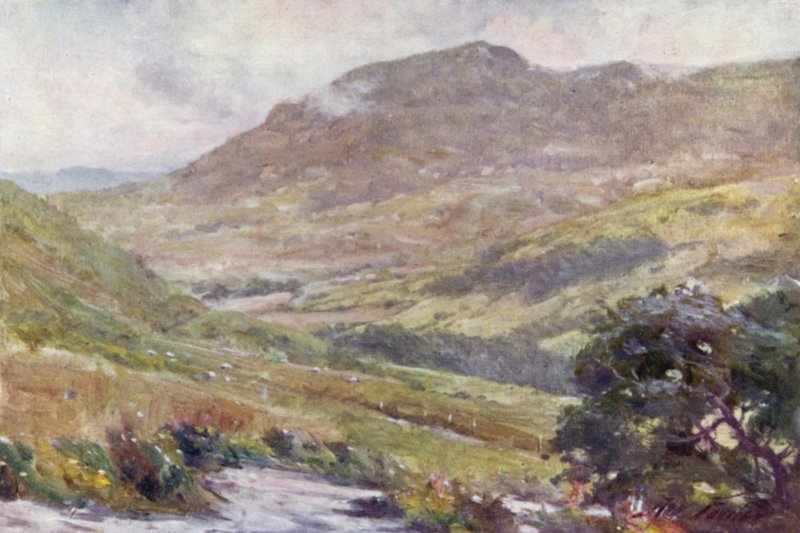 Et bjergpas, middag (farve litho) af Robert (after) Fowler