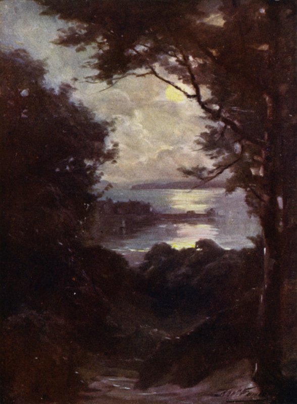Beaumaris, Moonlight (farve litho) af Robert (after) Fowler