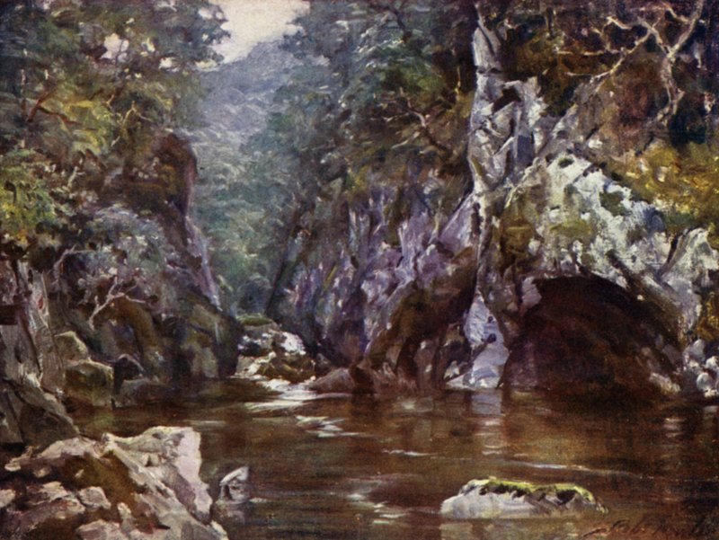 Fairy Glen, Bettws-y-Coed (farve litho) af Robert (after) Fowler