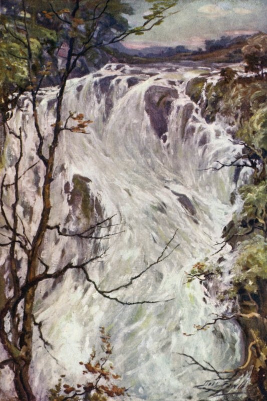 Swallow Falls, Bettws-y-Coed (farve litho) af Robert (after) Fowler