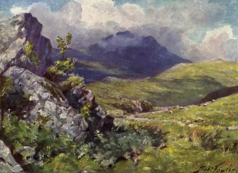 Udsigt over Moelwyn (farve litho) af Robert (after) Fowler