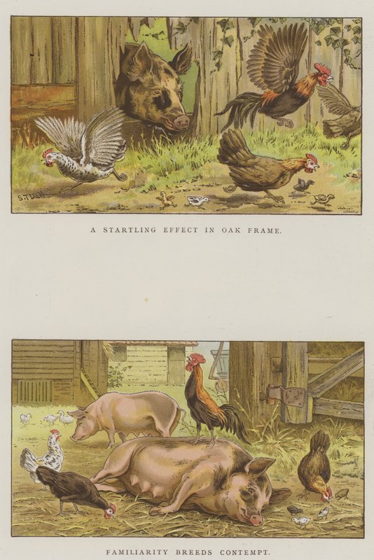 Gårdspladsscener (chromolitho) af S.T. Dadd