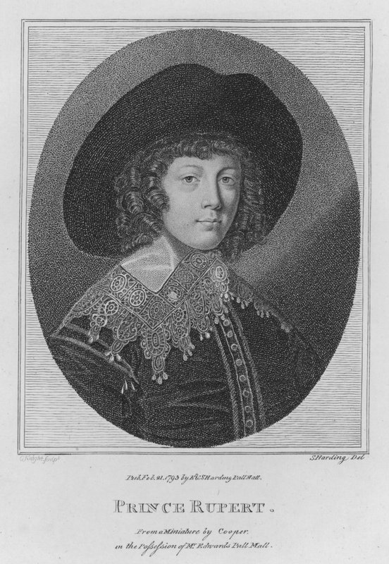 Prins Rupert (gravering) af S. (after) Harding