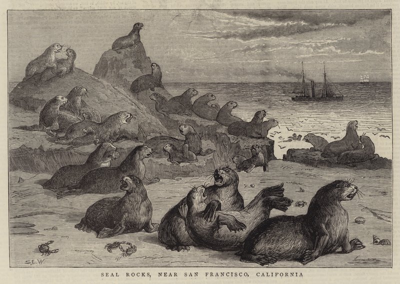 Seal Rocks, nær San Francisco, Californien af Samuel Edmund Waller