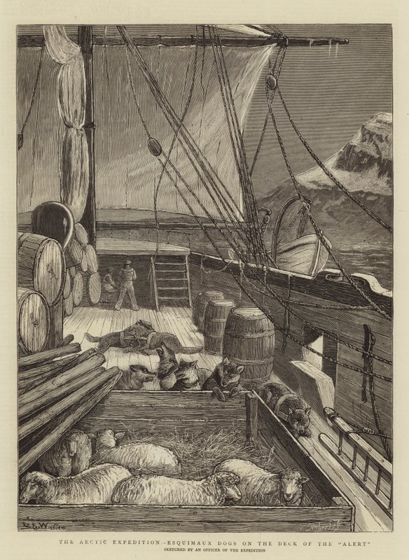 Den arktiske ekspedition, Esquimaux Dogs on the Deck of the Alert af Samuel Edmund Waller