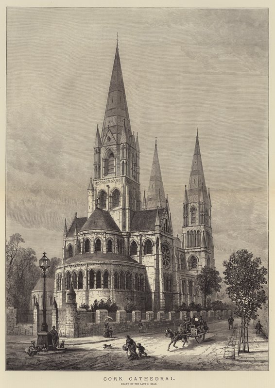 Cork Katedral af Samuel Read