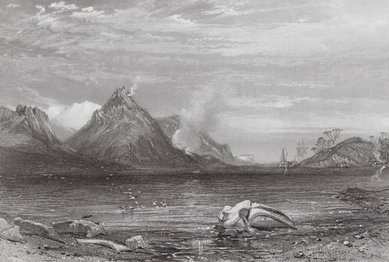 Australien: Old Whaling Station (gravering) af Samuel (after) Prout