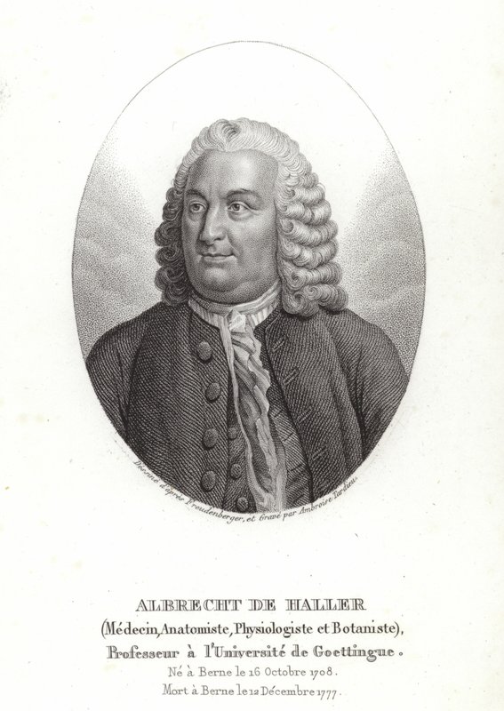 Albrecht von Haller af Sigmund Freudenberger