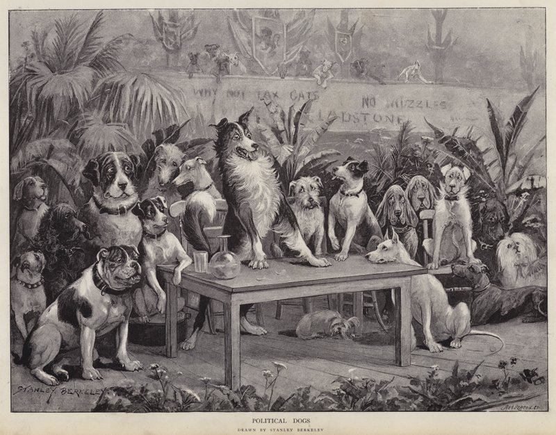 Politiske hunde (litho) af Stanley (after) Berkeley