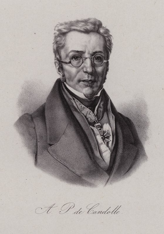 Augustin Pyramus de Candolle, schweizisk botaniker (gravering) af Swiss School