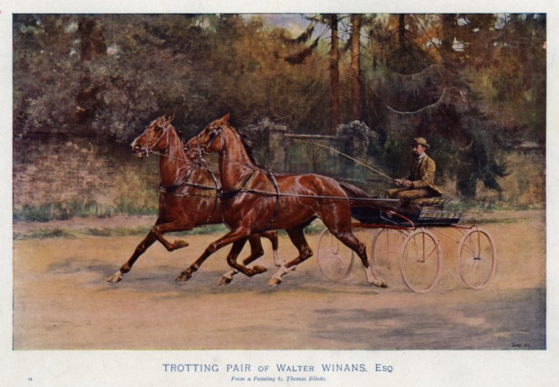 Trotting Pair of Walter Winans, Esquiredani af Thomas Blinks