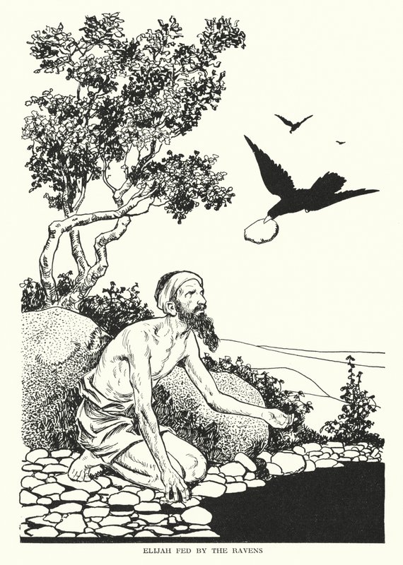 Elias fodret af ravnene (litografi) af Thomas Heath Robinson