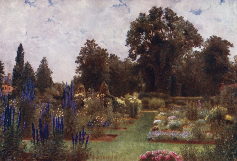Kew Gardens: Urteagtige haver (farve litho) af Thomas Mower Martin
