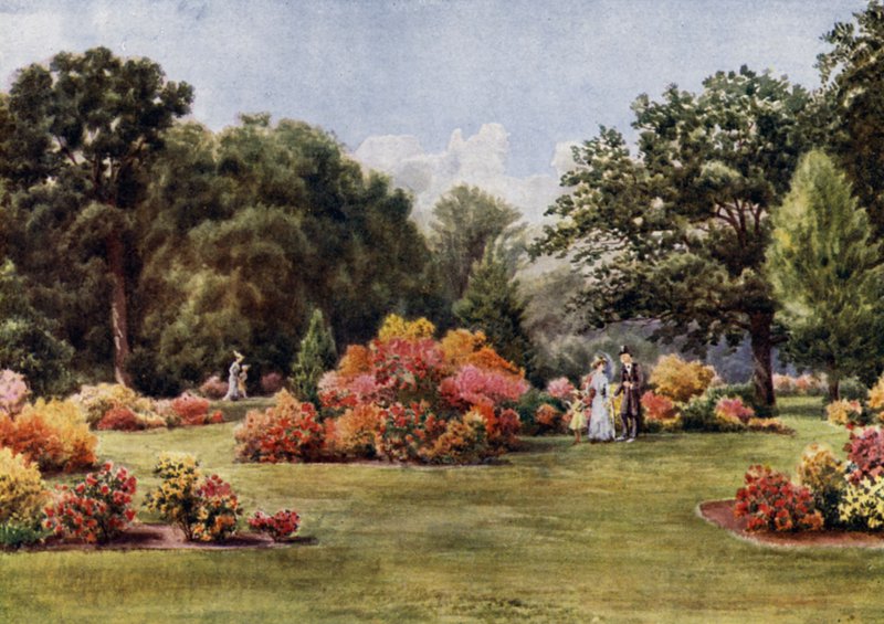 Kew Gardens: The Azalea (farve litho) af Thomas Mower Martin