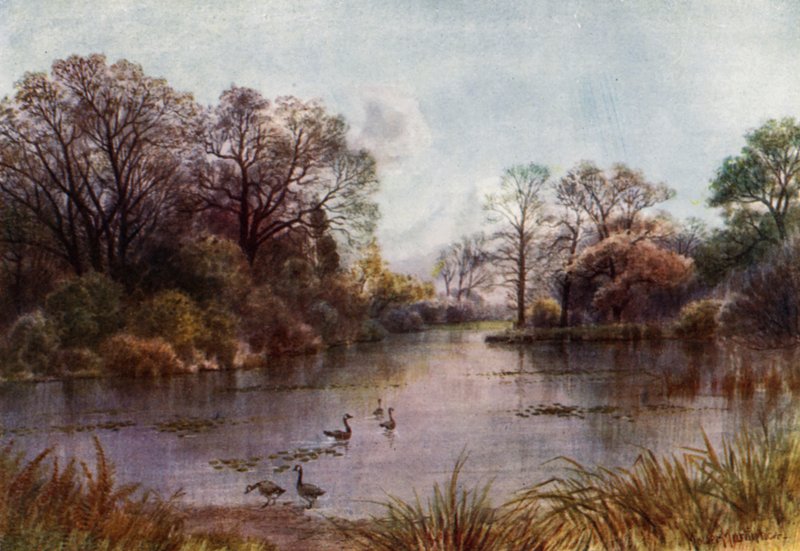 Kew Gardens: The Lake (farve litho) af Thomas Mower Martin