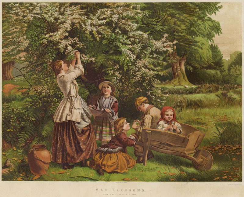 maj blomstrer (chromolitho) af Thomas P. Hall