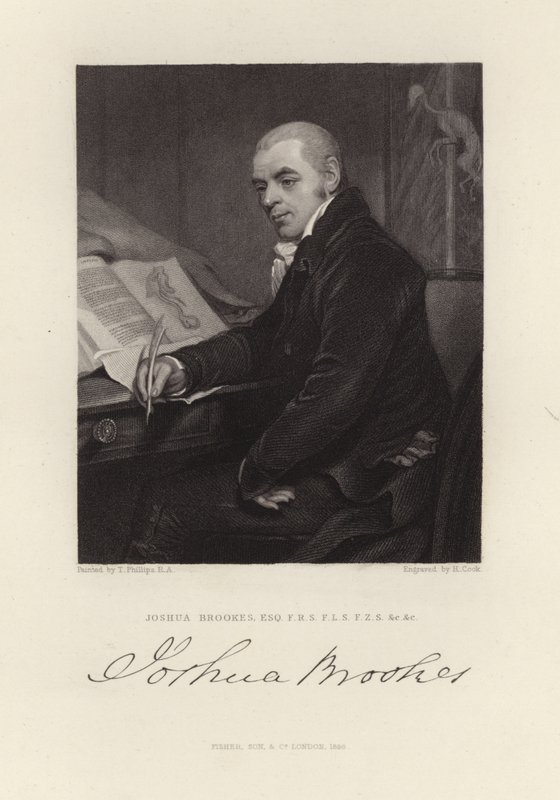 Joshua Brookes af Thomas Phillips