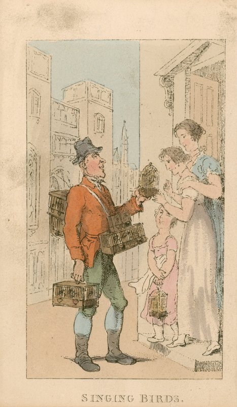 Syngende fugle af Thomas Rowlandson