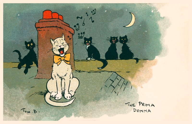 The Prima Donna (farvelitografi) af Tom Browne