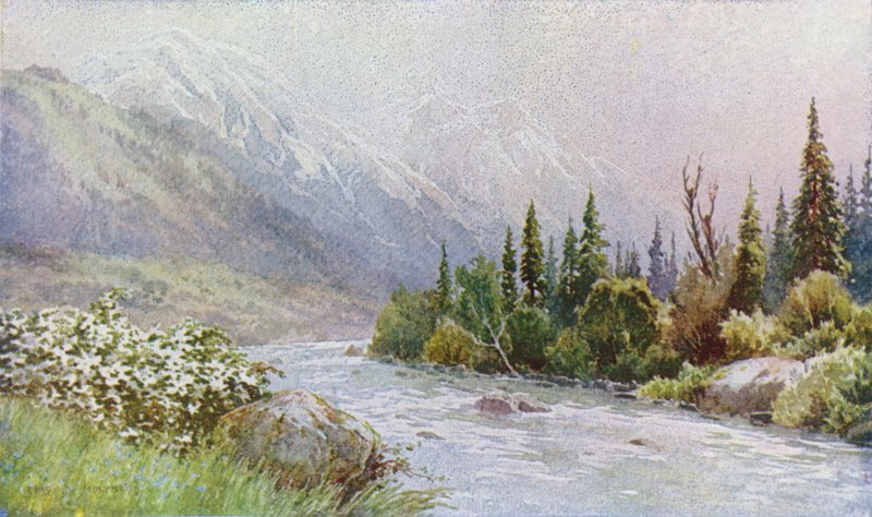 Tidlig morgen nær Pahalgam, Lidder Valley af Unbekannt Unbekannt