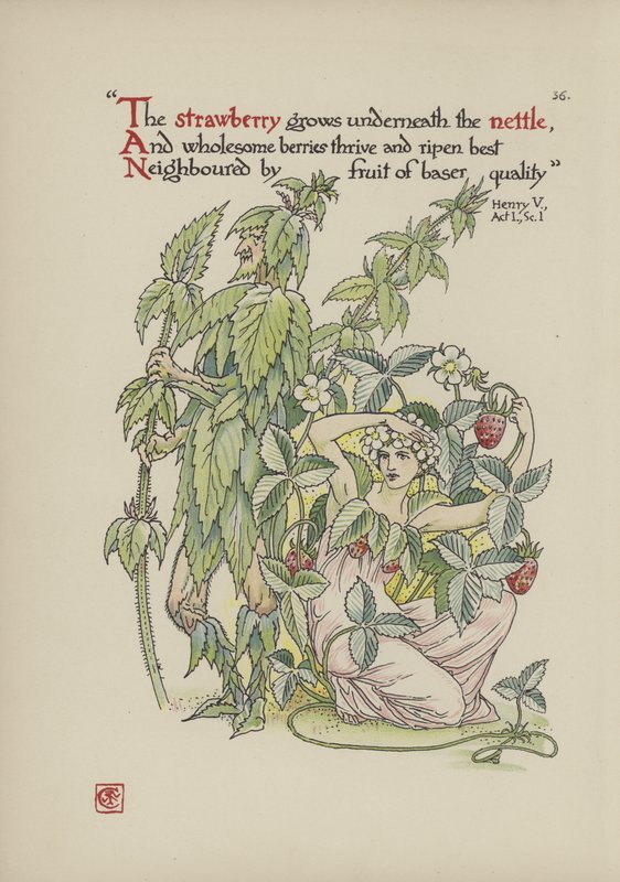 Blomster fra Shakespeares have af Walter Crane