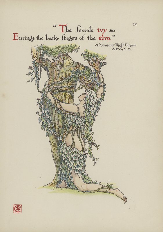 Blomster fra Shakespeares have af Walter Crane