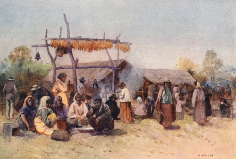 New Zealand: Native Gathering (farvelitografi) af Walter Wright