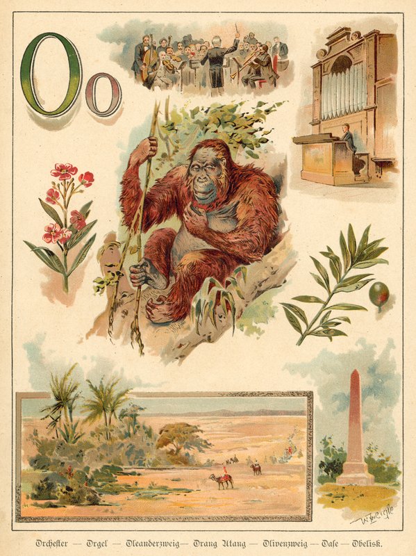 Bogstav O (chromolitho) af Walter Zweigle