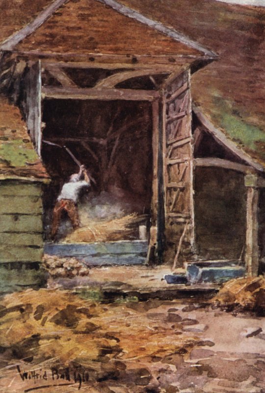Old Abe, Flailing (farvelitografi) af Wilfrid Williams Ball