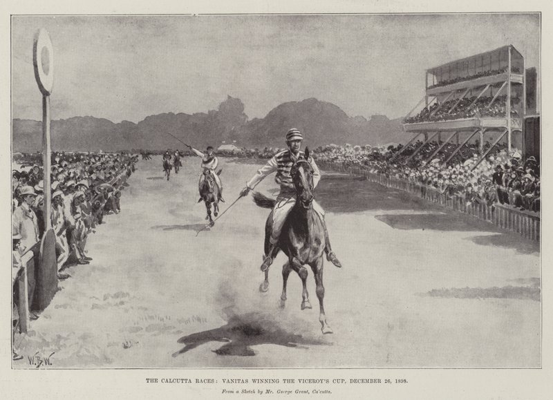 Calcutta Races, Vanitas vinder Viceroy