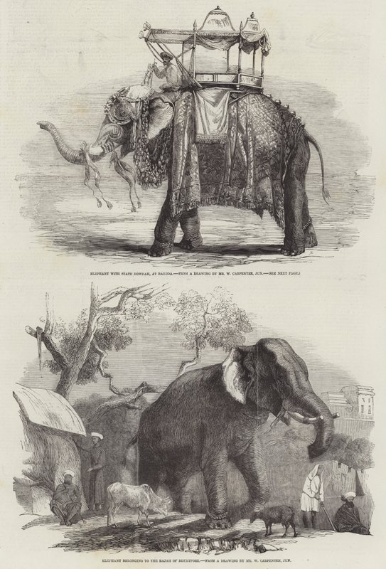 Indiske elefanter af William Carpenter