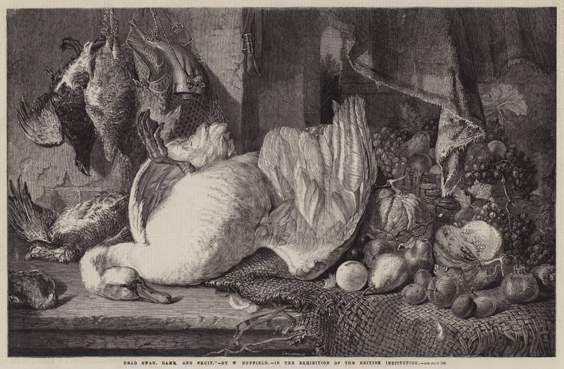 Død Svane, Vildt og Frugt af William Duffield
