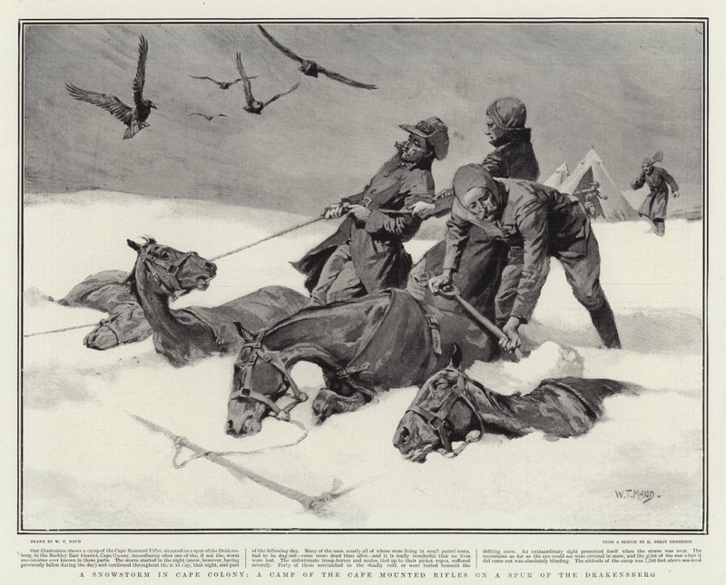 En snestorm i Cape Colony, en lejr med de kapmonterede rifler på en spor af Drakensberg af William T. Maud