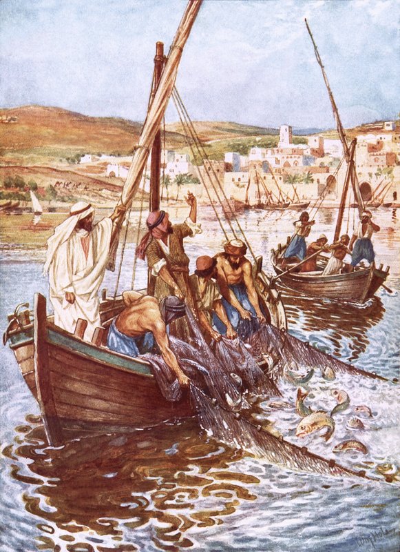 Et stort væld af fisk af William Brassey Hole
