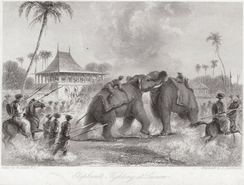 Elefanter kæmper ved Lucknow af William Daniell