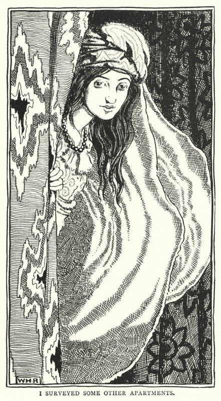 Jeg undersøgte nogle andre lejligheder (gravering) af William Heath Robinson