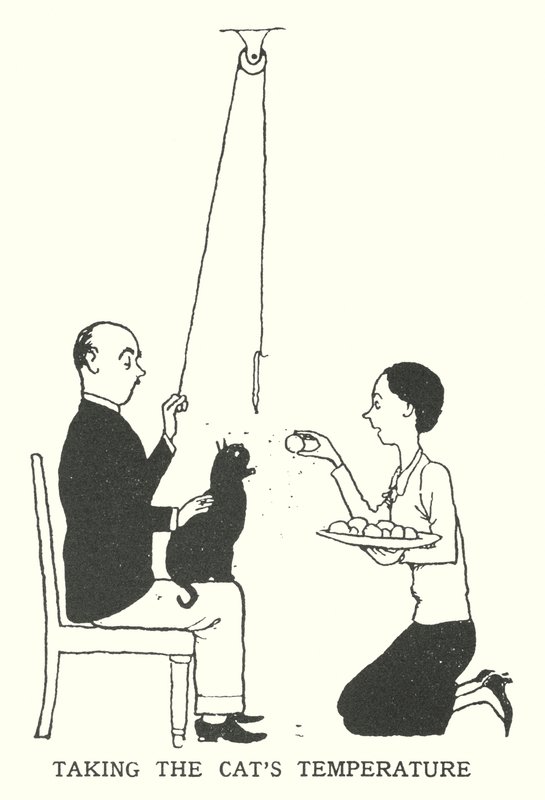 Tager kattens temperatur (litho) af William Heath Robinson
