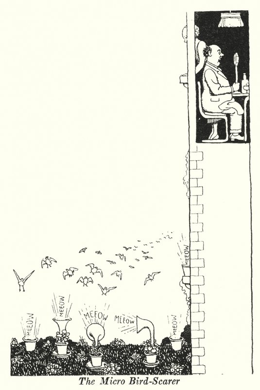 The Micro Bird-Scarer (litho) af William Heath Robinson